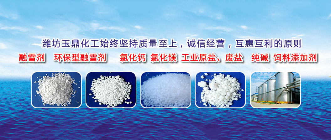 潍坊玉鼎化工有限公司